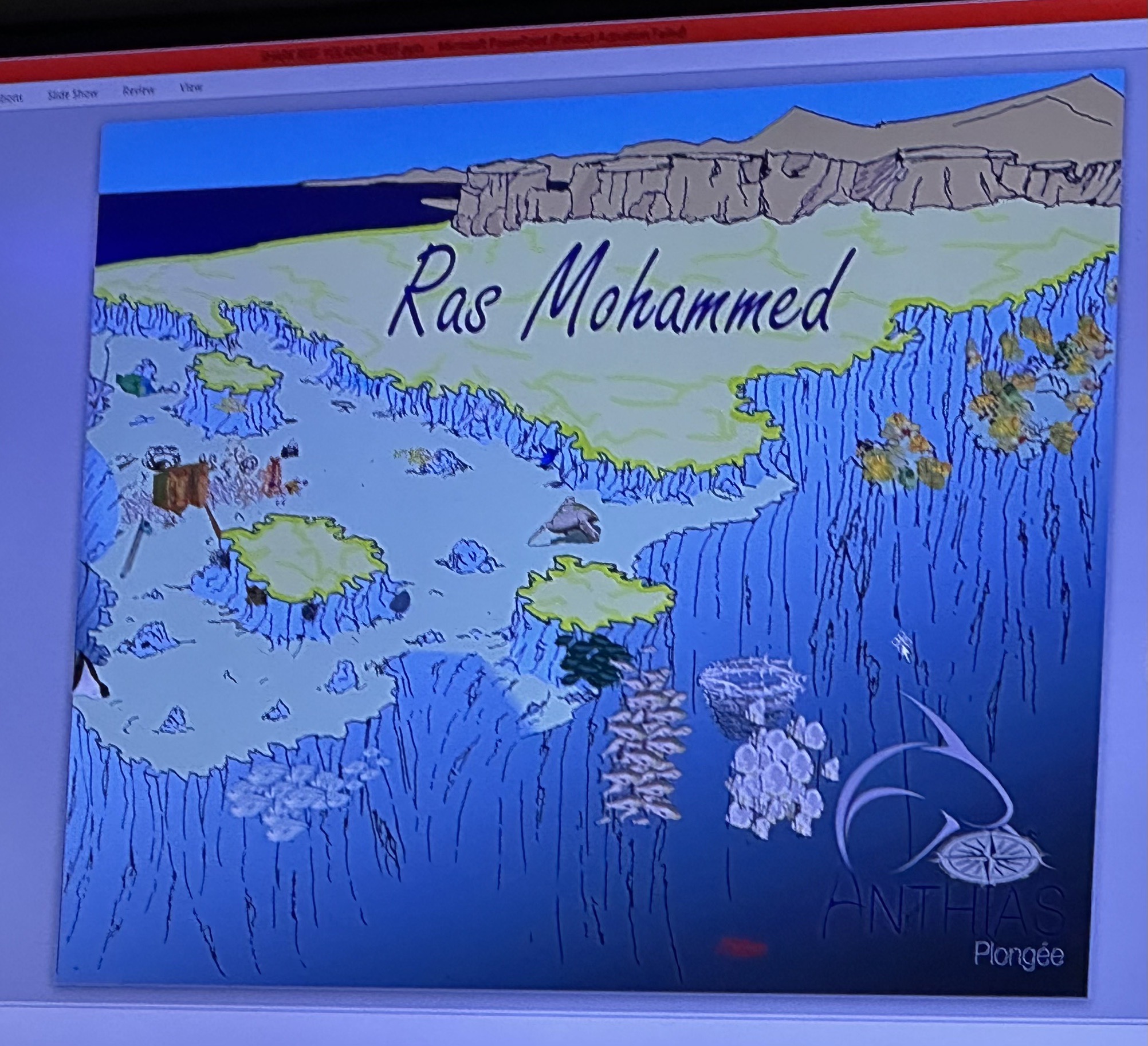 Ras Muhammed National park — dive photo by Philippe