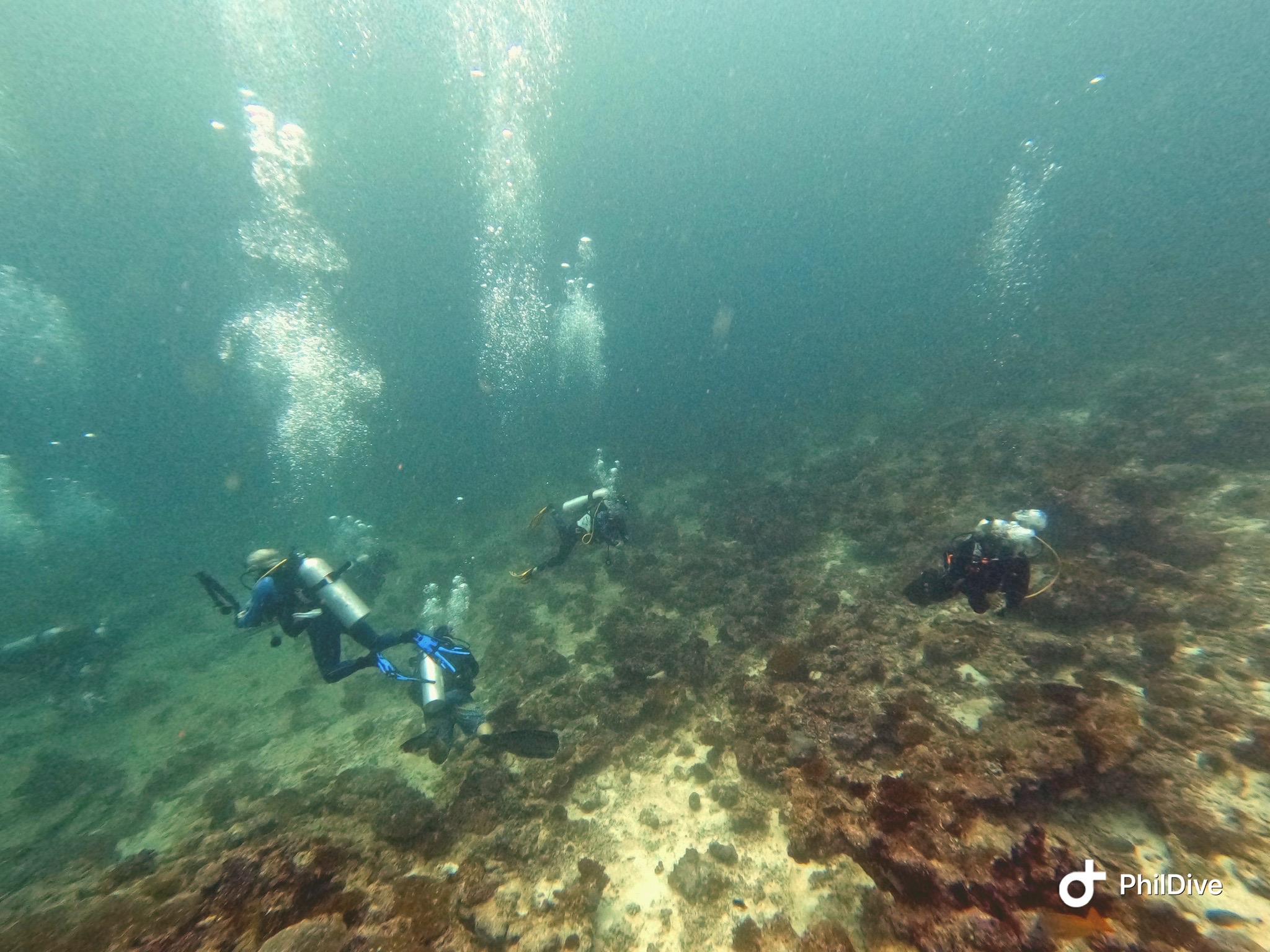 Lankan Manta Point — dive photo by Philippe