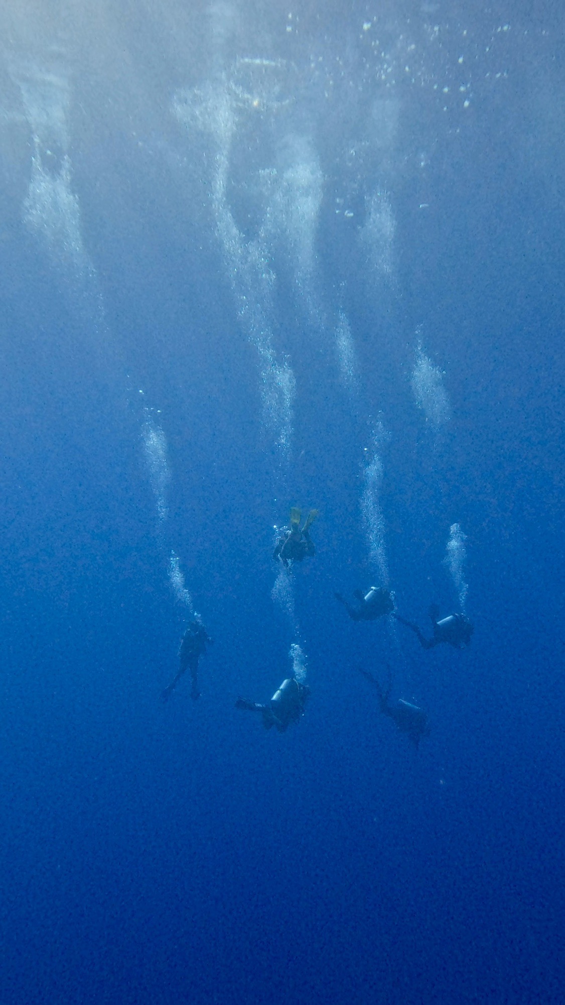 Fushi Kandu — dive photo by Philippe