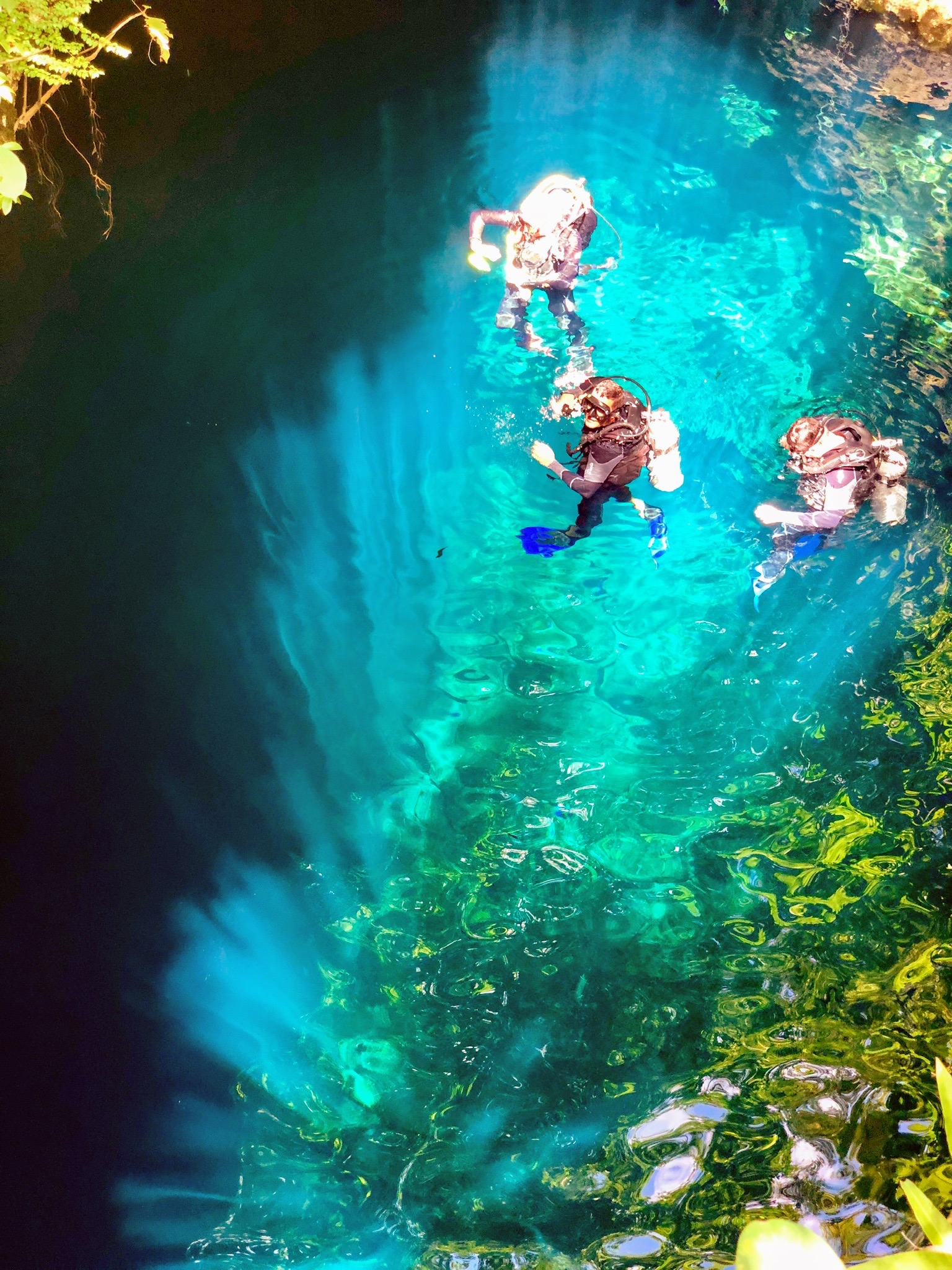 Cenote El Pit — dive photo by Philippe