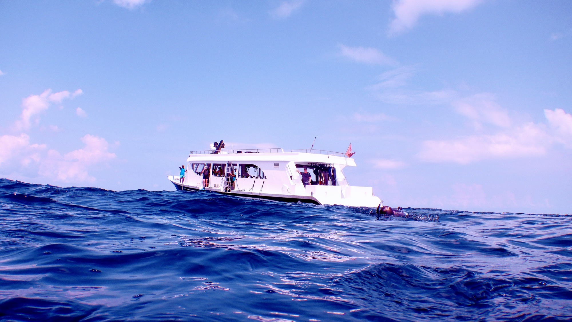 Kuda Rah Thila — dive photo by Philippe