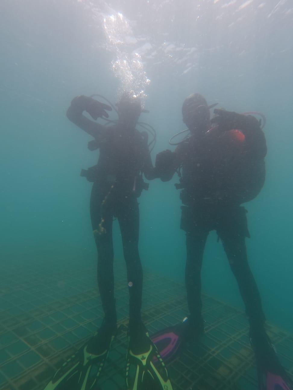 Cierna Voda - Feketenyek — dive photo by Adina Rehakova