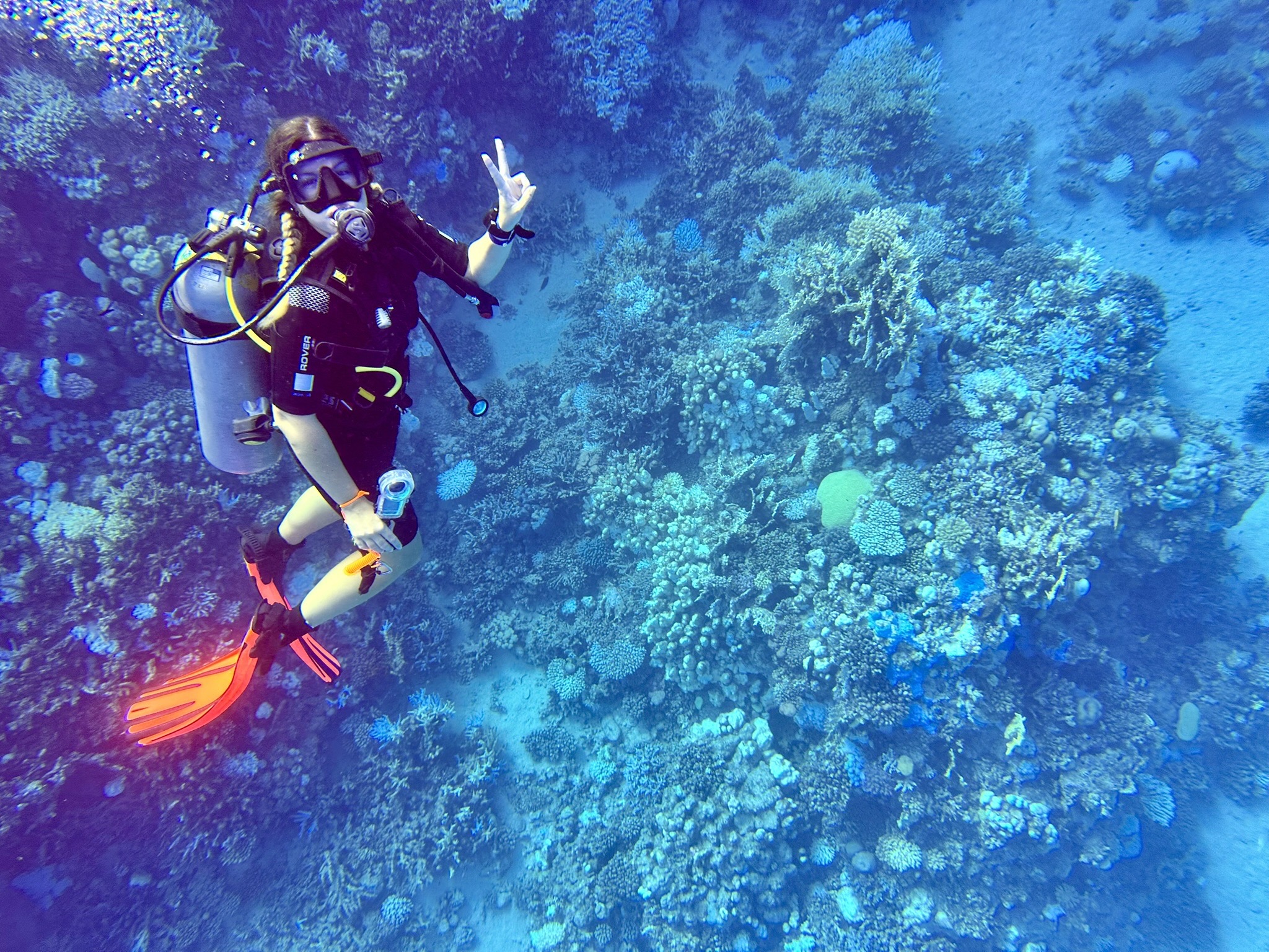 Marsa Shagra House Reef — dive photo by Daniele Ratti