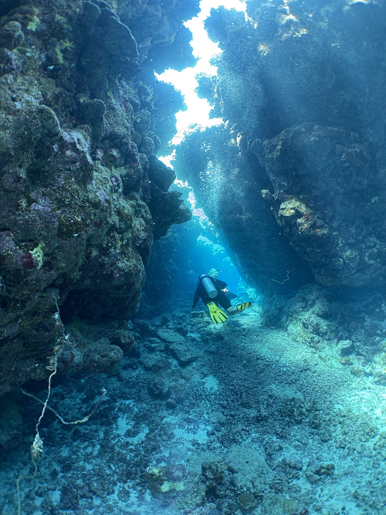 Abu Dabab V — dive photo