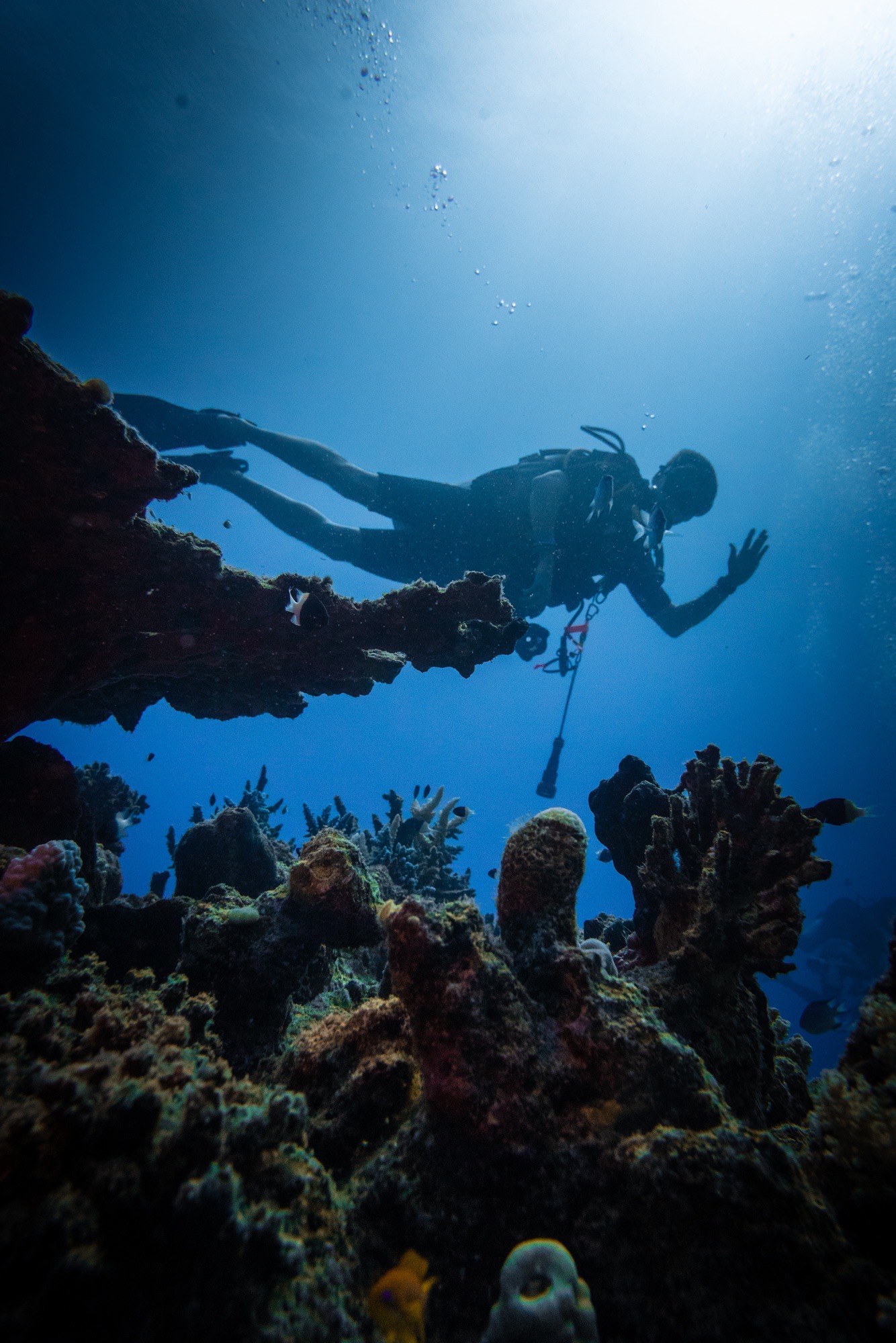 Wadi el gemal — dive photo by Daniele Ratti