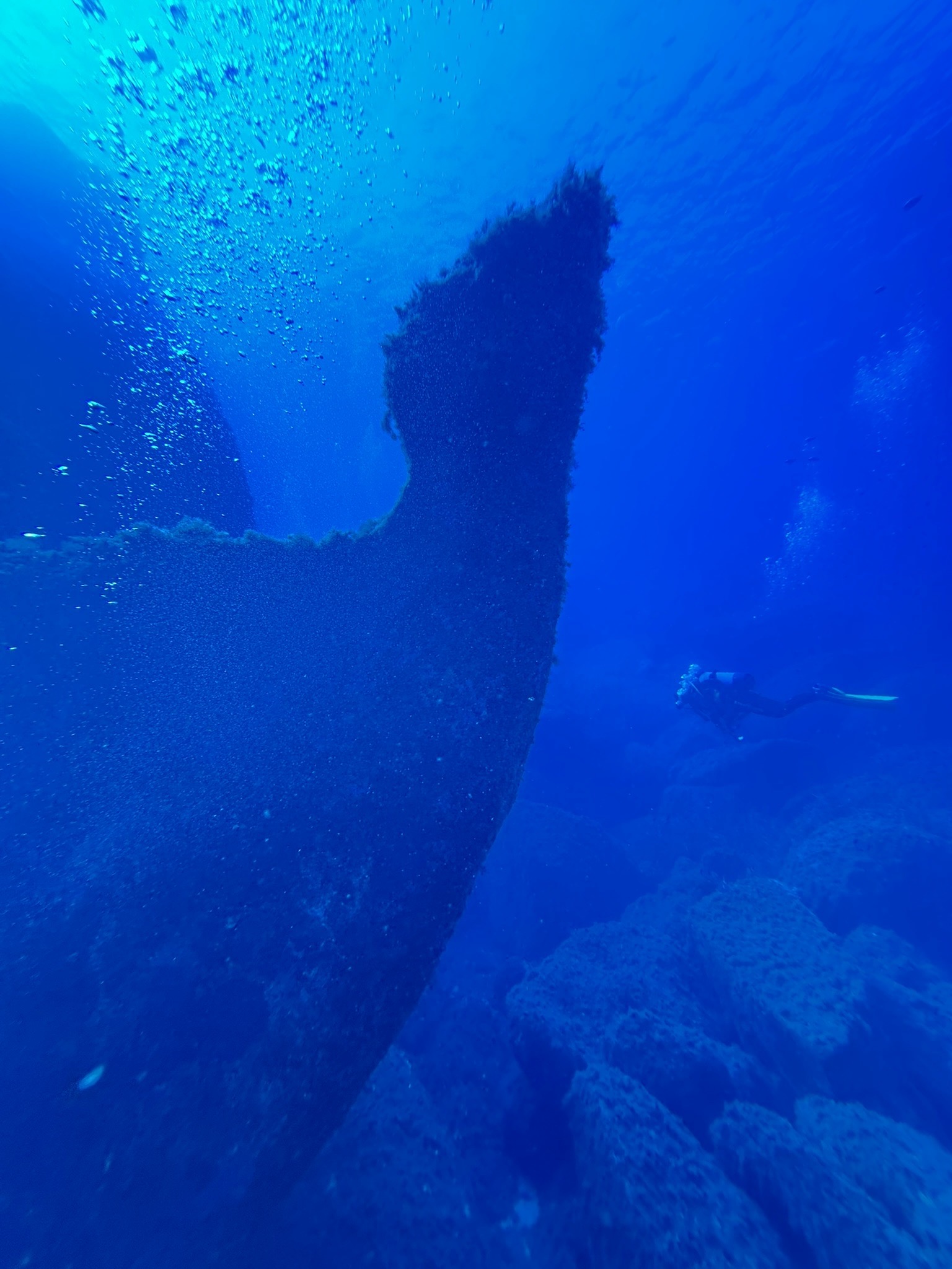 Isola dei Cavoli — dive photo