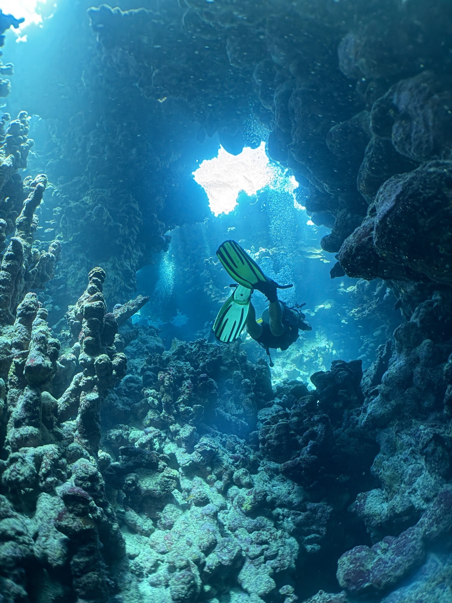 Long Canyon — dive photo by Daniele Ratti