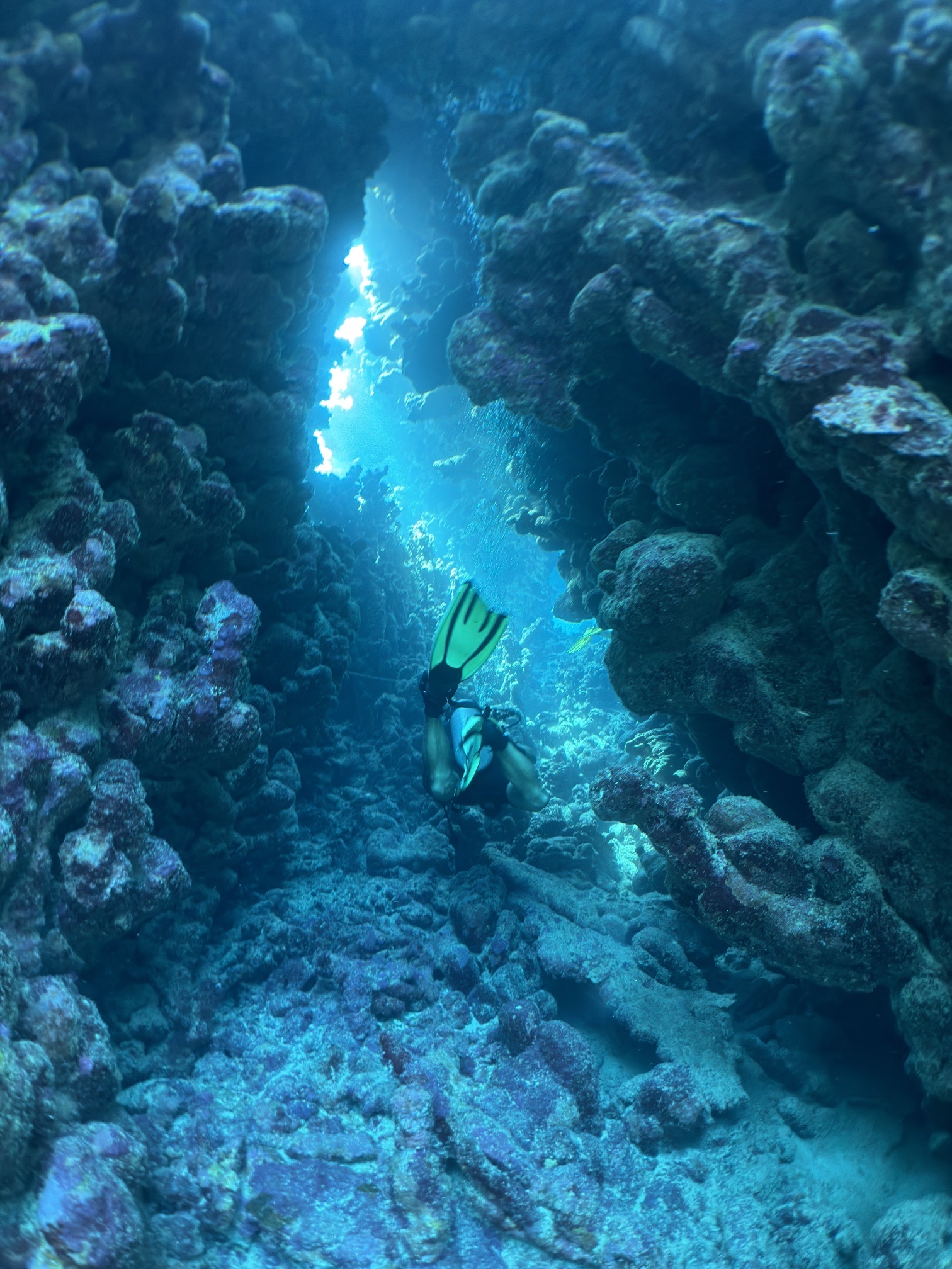 Long Canyon — dive photo by Daniele Ratti