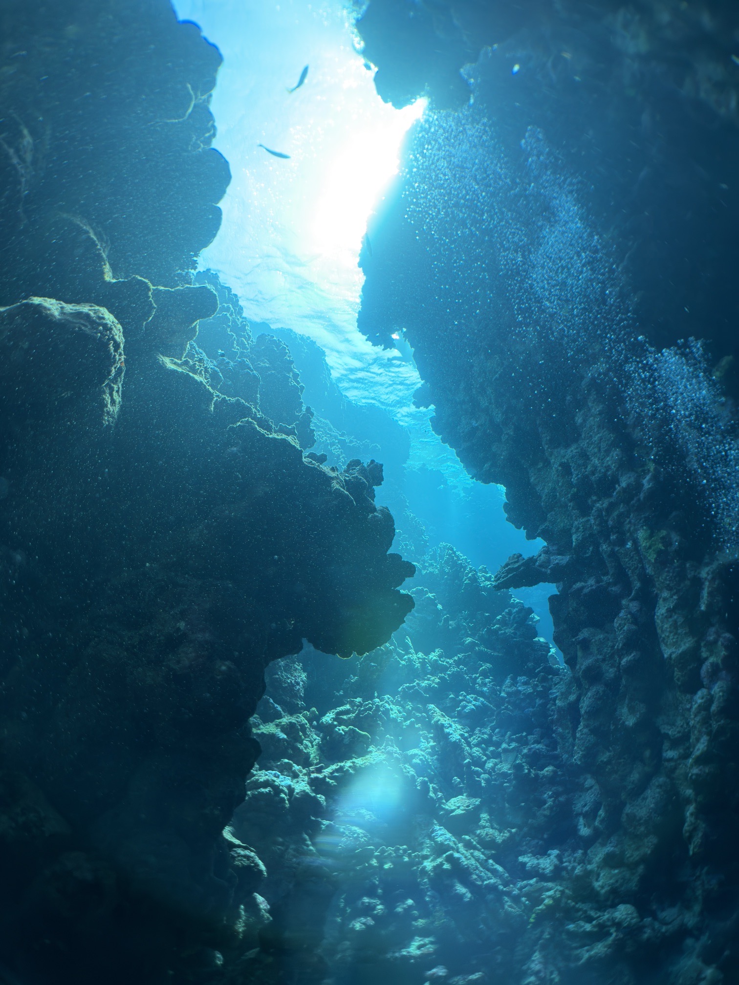 Long Canyon — dive photo by Daniele Ratti