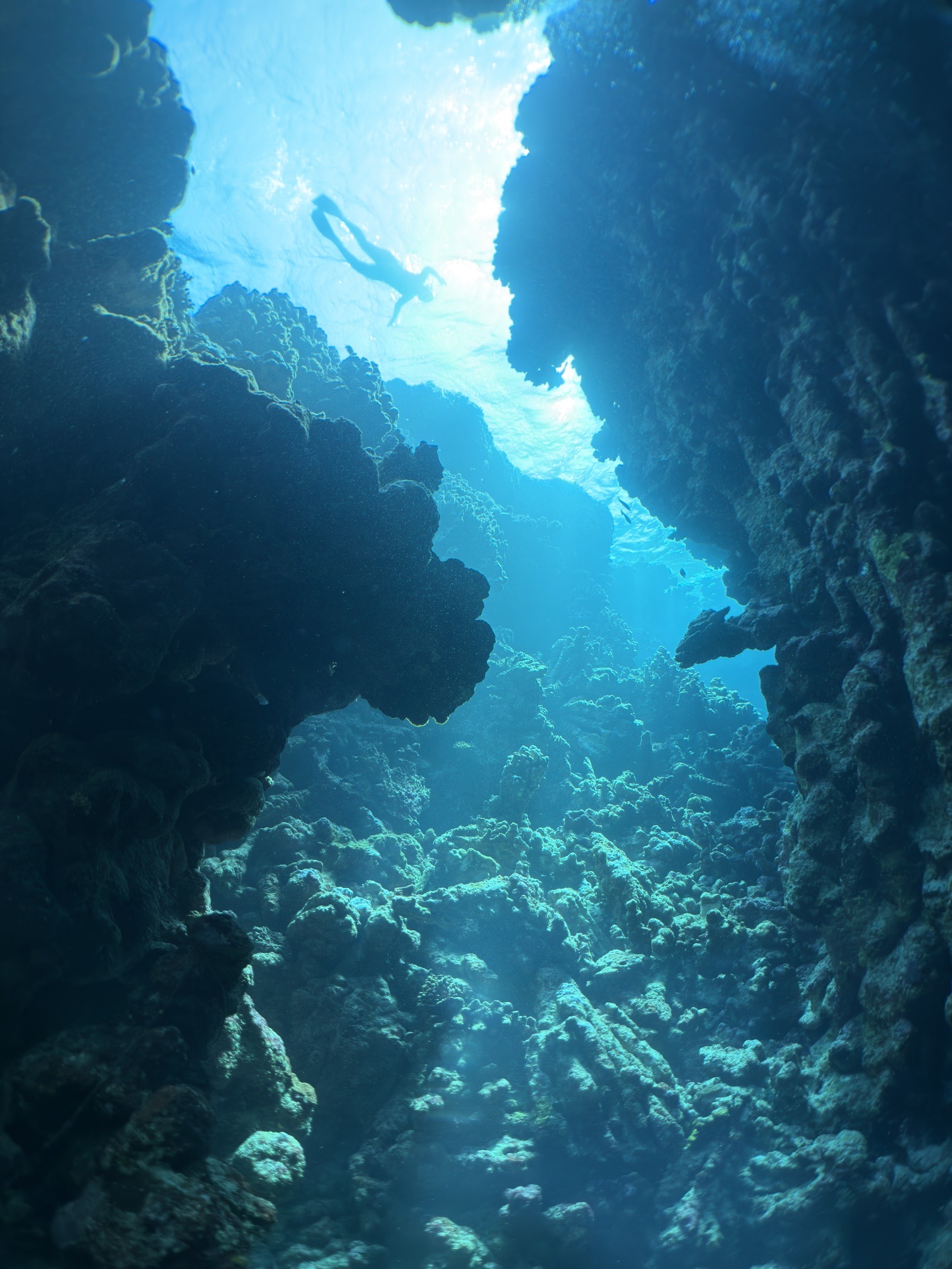 Long Canyon — dive photo by Daniele Ratti