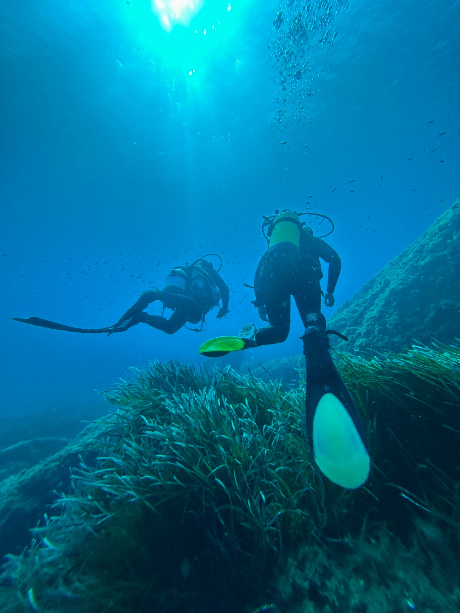 Isola dei Cavoli — dive photo by Daniele Ratti
