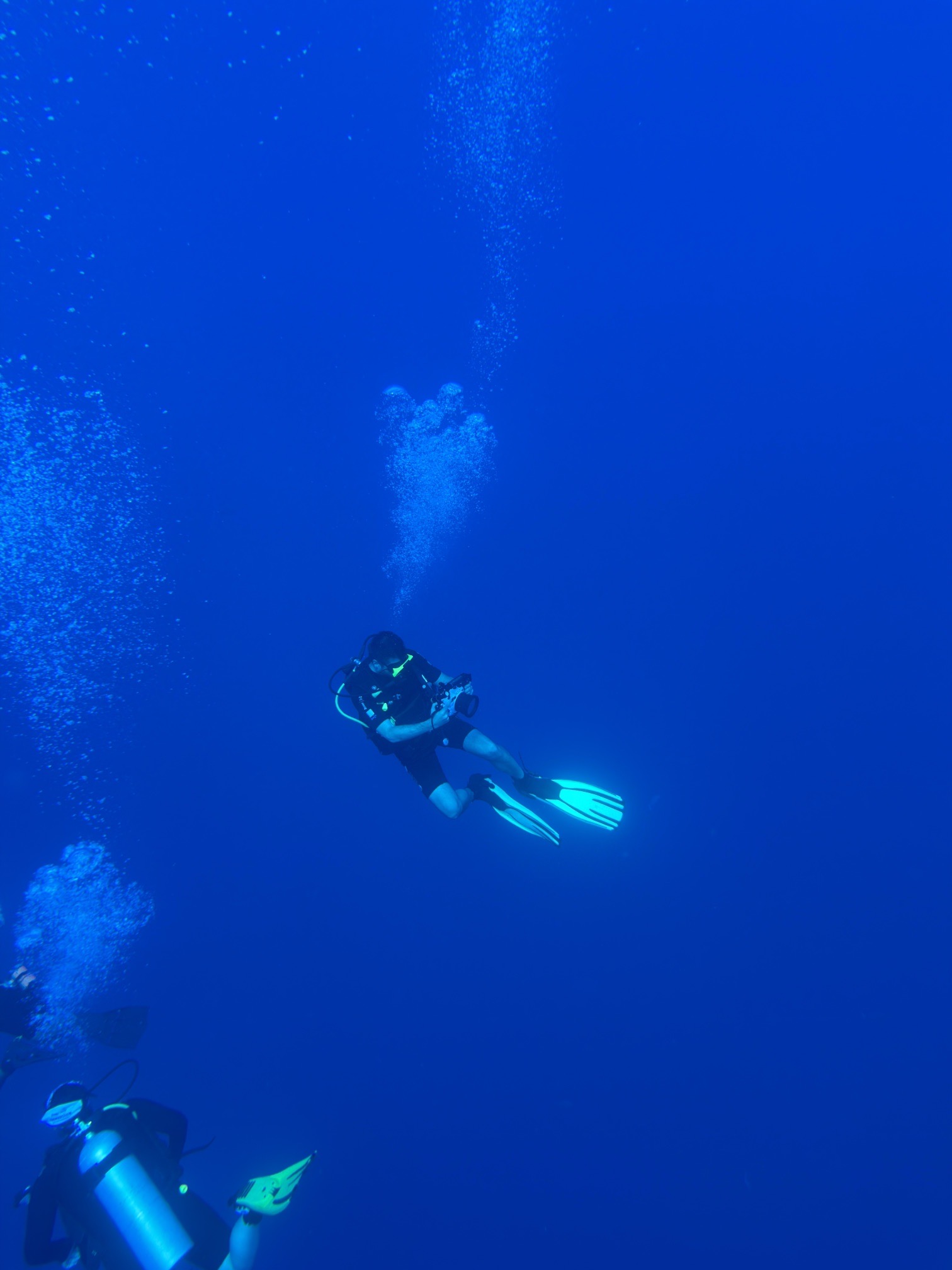 Elphinstone Reef — dive photo