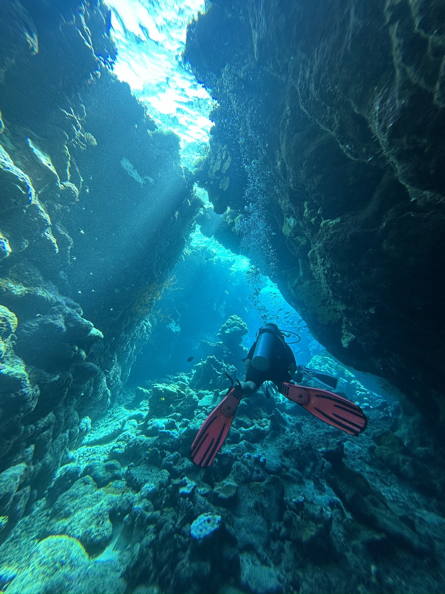 Abu Dabbab 5 — dive photo by Daniele Ratti