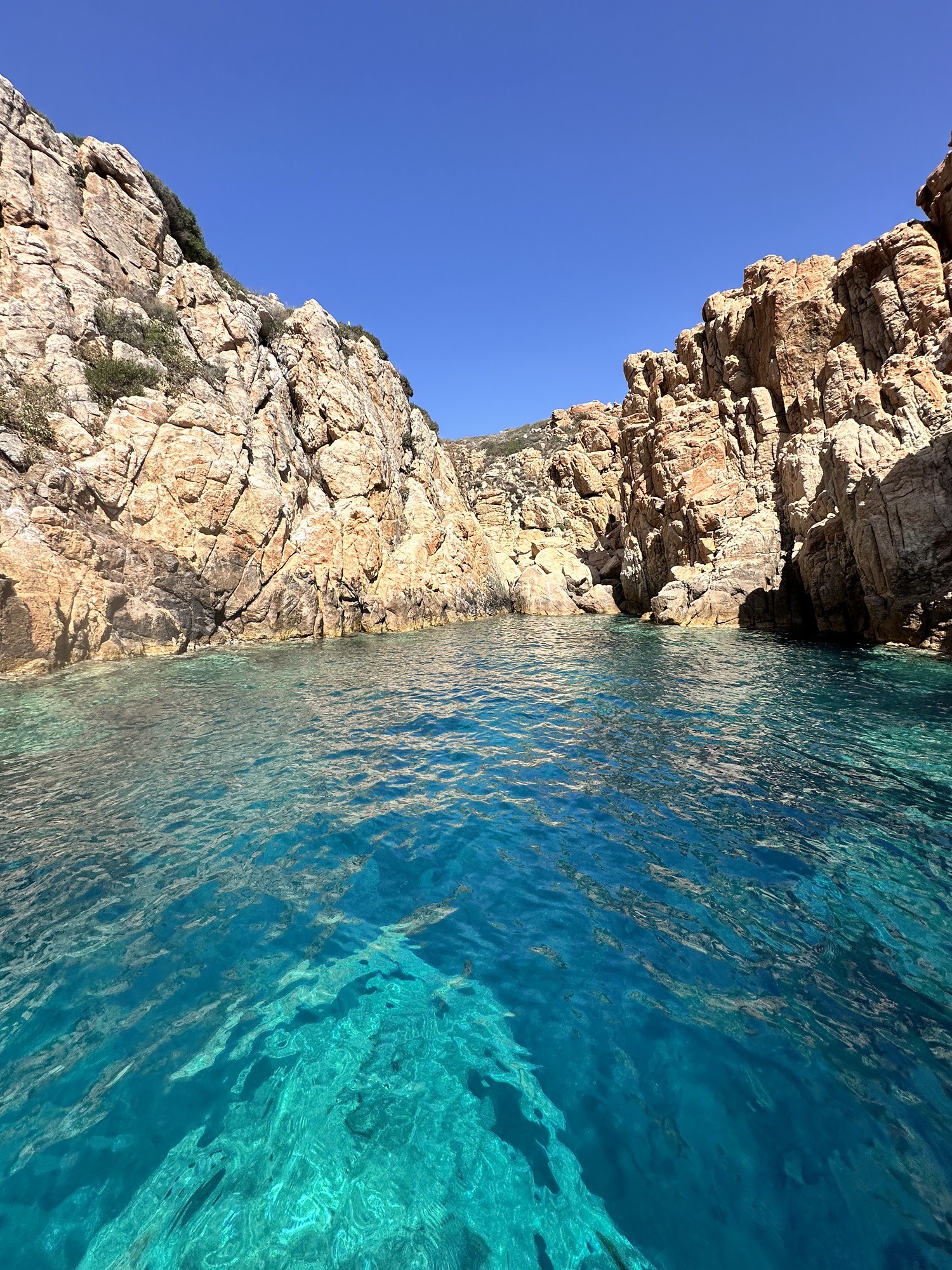 Isola Rossa — dive photo by Daniele Ratti