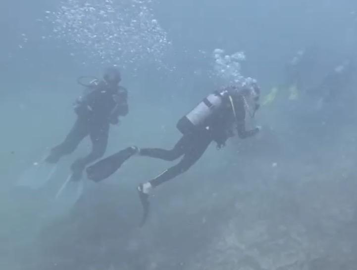 Day dive — dive photo by @emilia.conway