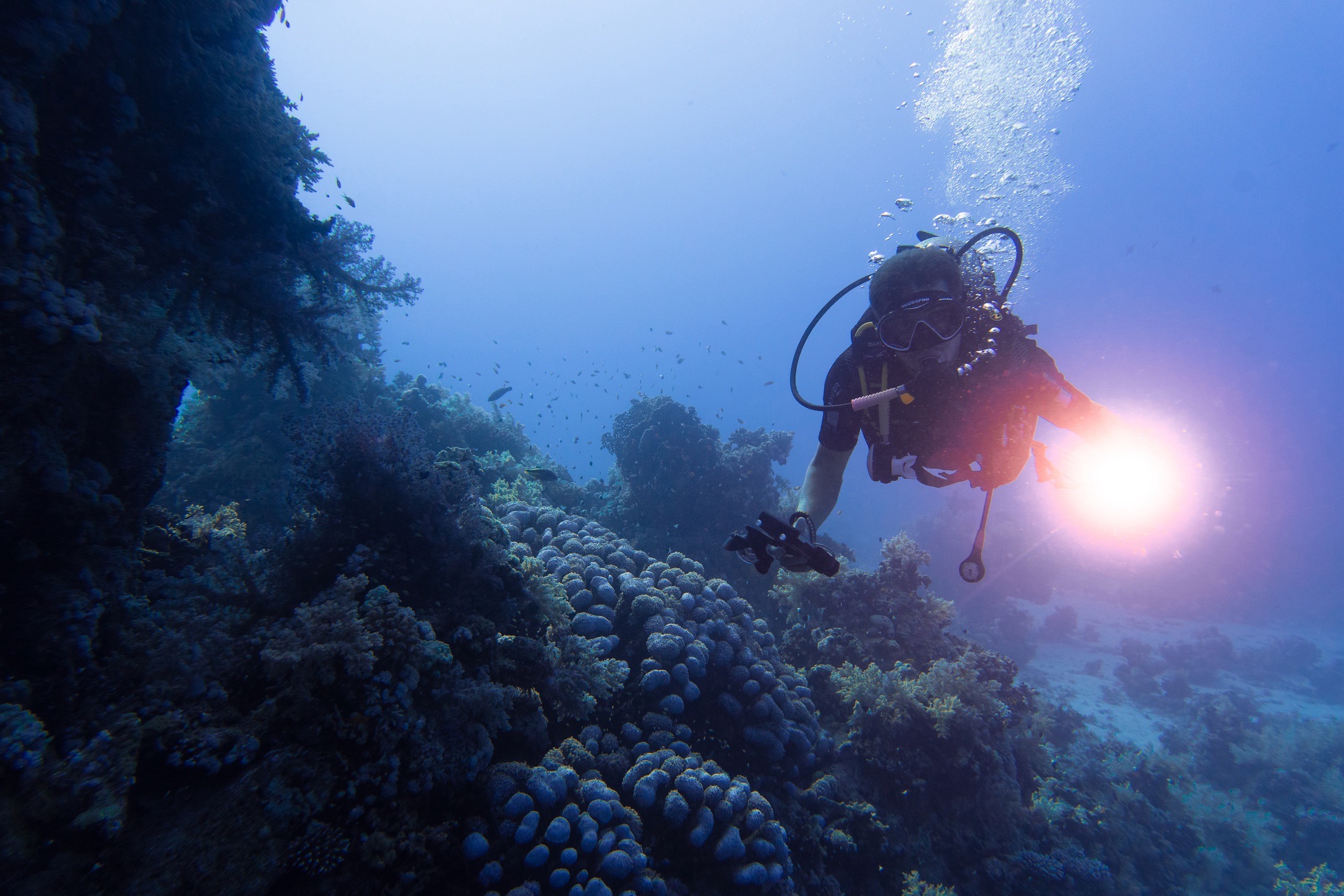 Abu Dabab IV — dive photo by Luca Micheli