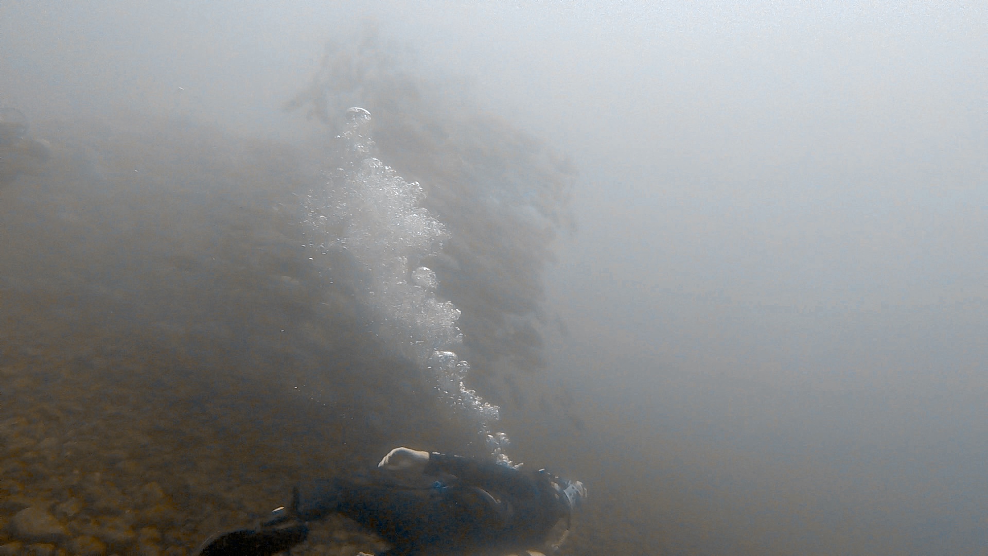Tulamben Drop-Off — dive photo by Rachel Green