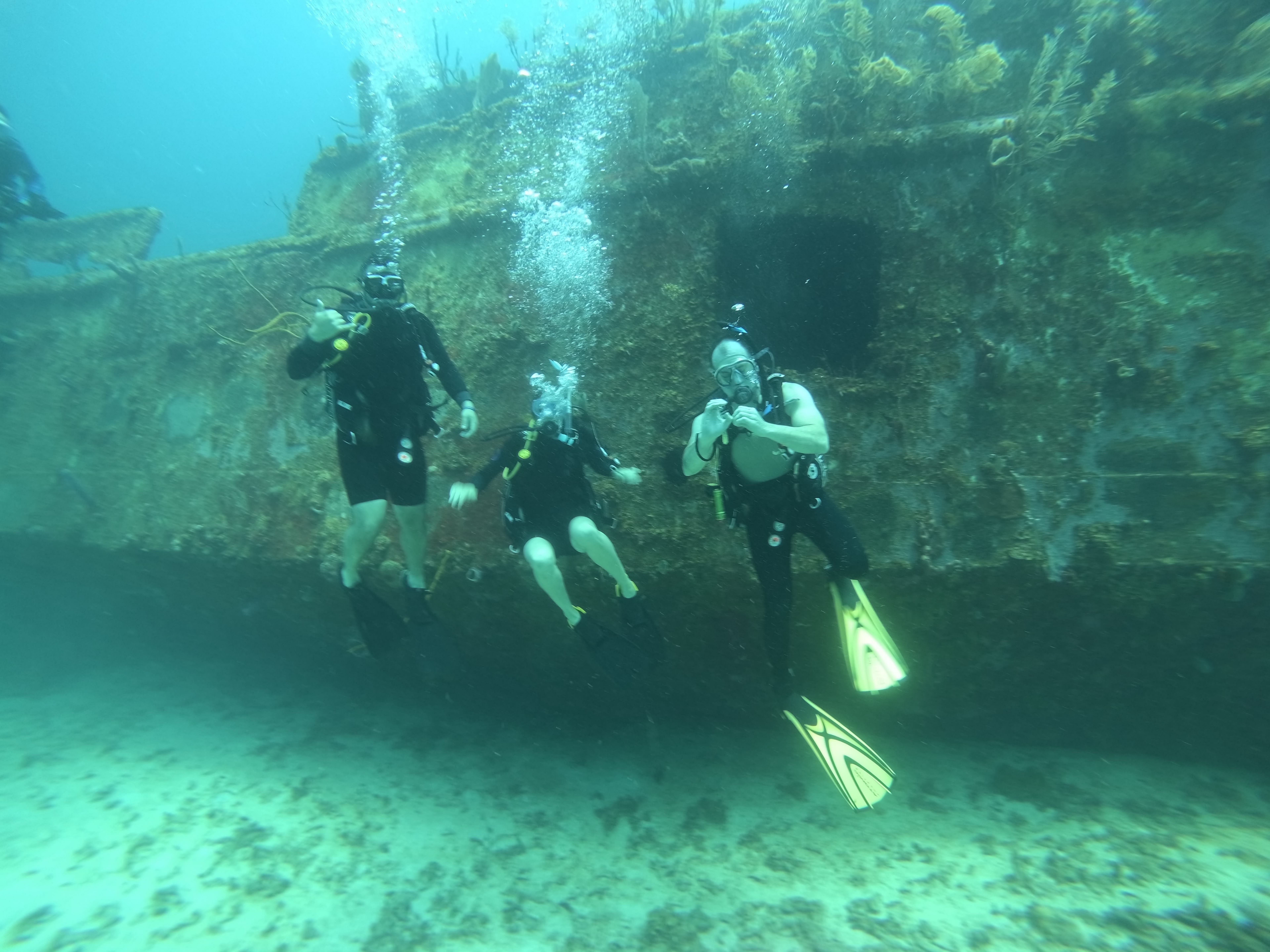 Mr. Bud (Wreck Dive) — dive photo by @banoubr